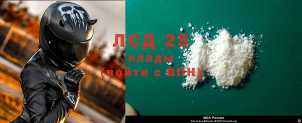 spice Богородск