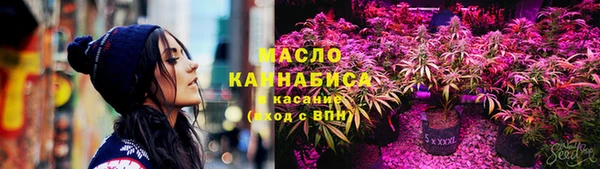 spice Богородск