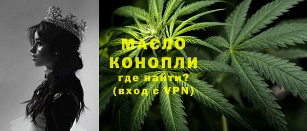 spice Богородск