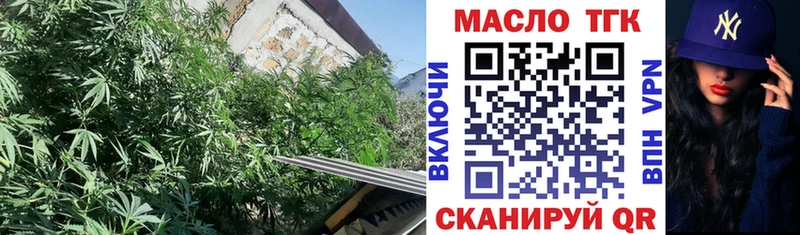 Дистиллят ТГК гашишное масло  shop наркотические препараты  Котовск  продажа наркотиков 