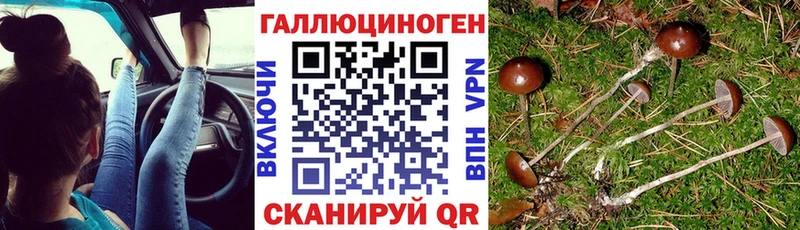 нарко площадка какой сайт  мега онион  Галлюциногенные грибы мухоморы  Котовск  наркошоп 