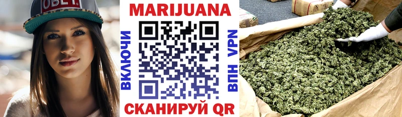 Бошки Шишки планчик Котовск